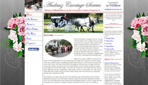 Buffalo Horse Drawn Carriage  - Andrusz Carriage Service